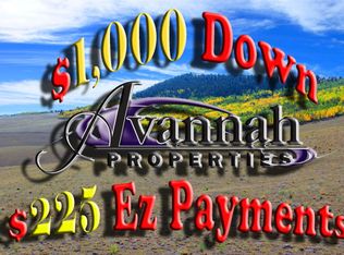 Coochee Trail #59, Hartsel, CO 80449