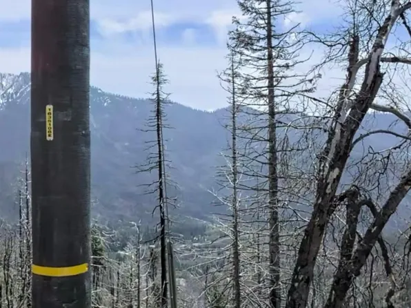 52821 Alpine Dr, Springville, CA 93265