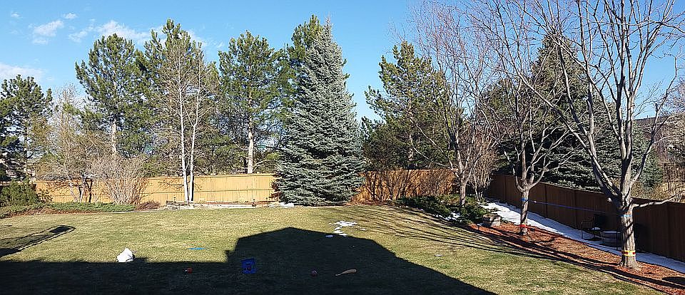 2nd image of 9964 Silver Maple Way