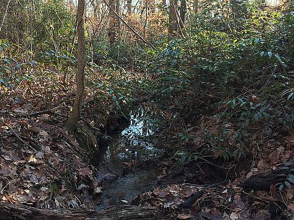 Springs and bold creeks