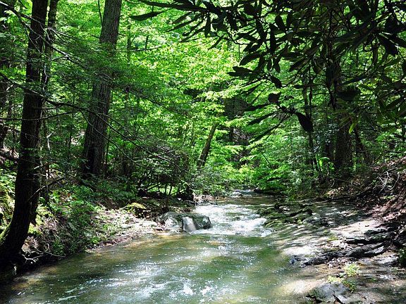 3rd image of 0 Two Brothers Rd