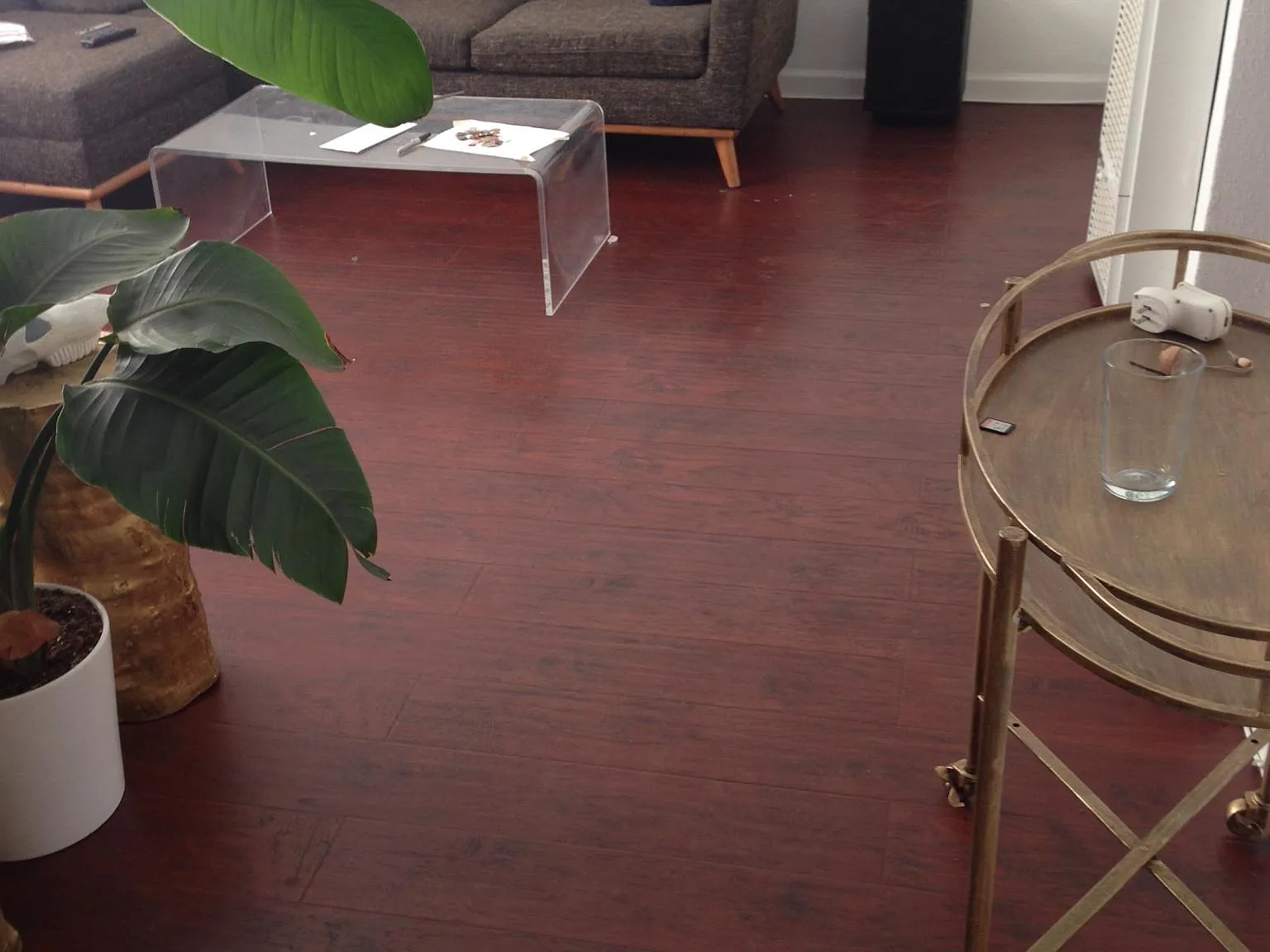 1 bed, 700 sqft, $1,695 — Photo 2