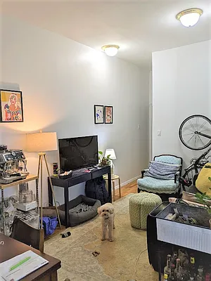 Rented by Virtual Real Estate | media 10