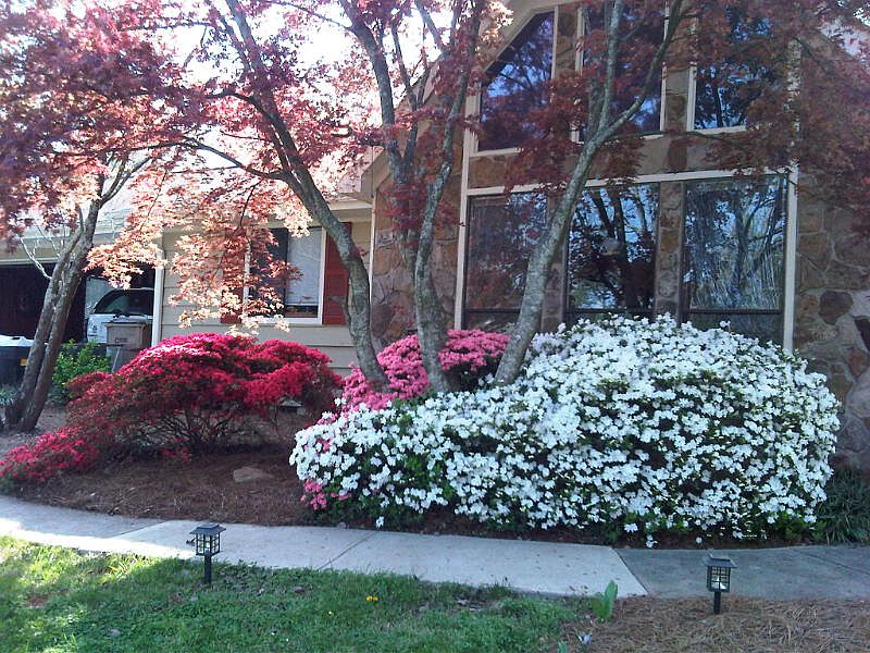 1st image of 2080 Branch View Dr
