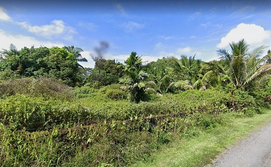 1st image of 14th Avenue Laamia Lot 499