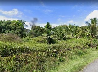 14th Avenue Laamia, Keaau, HI 96749