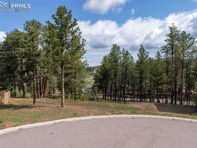 1396 Roberts Ranch Rd, Woodland Park, CO, 80863
