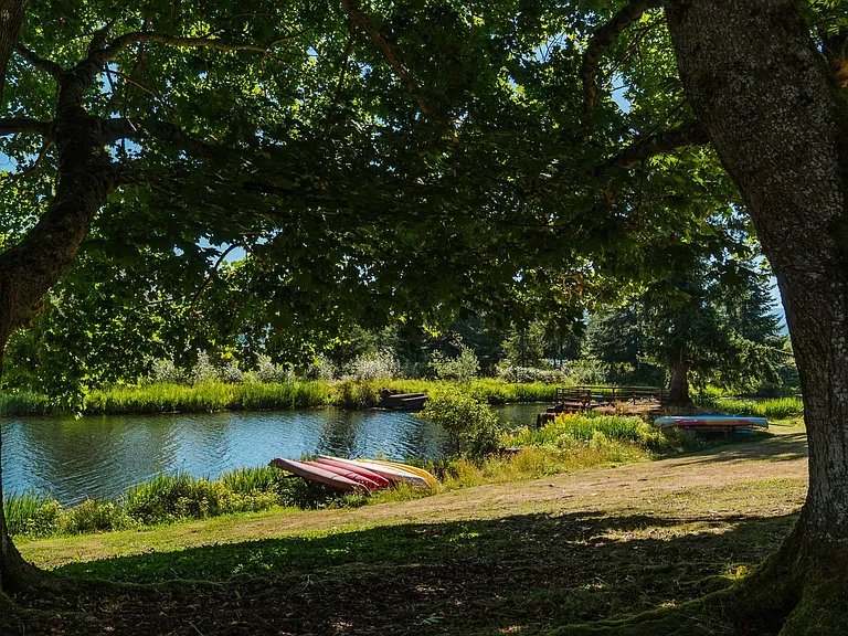 Grounds