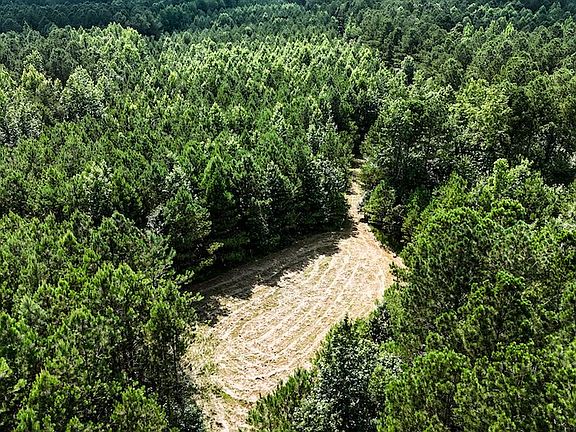 5th image of 0 Guys Chewalla Rd Lot Wp0001