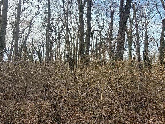 4th image of Mayo Rd