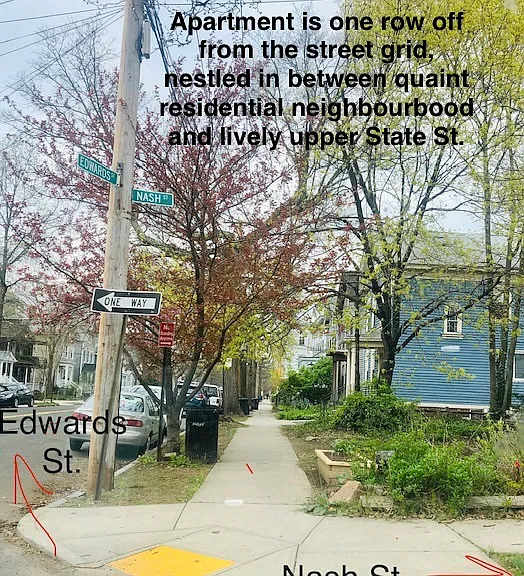 11 Edwards St #1 — Photo 43