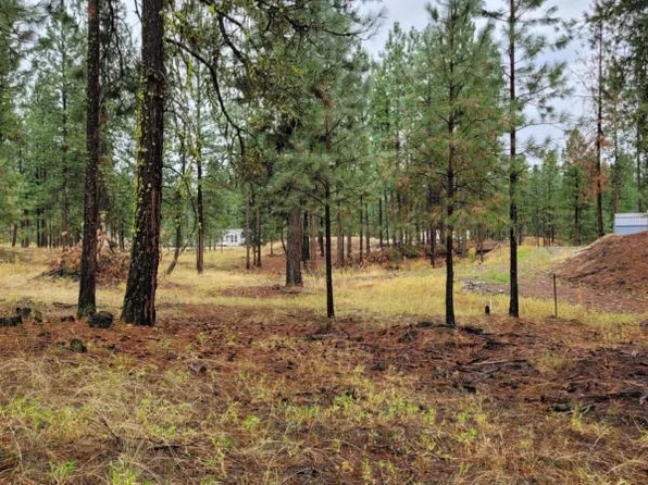 1344 Hamilton Way, Kettle Falls, WA 99141