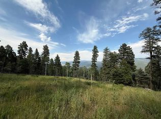 106 Zia Rd, Angel Fire, NM 87710