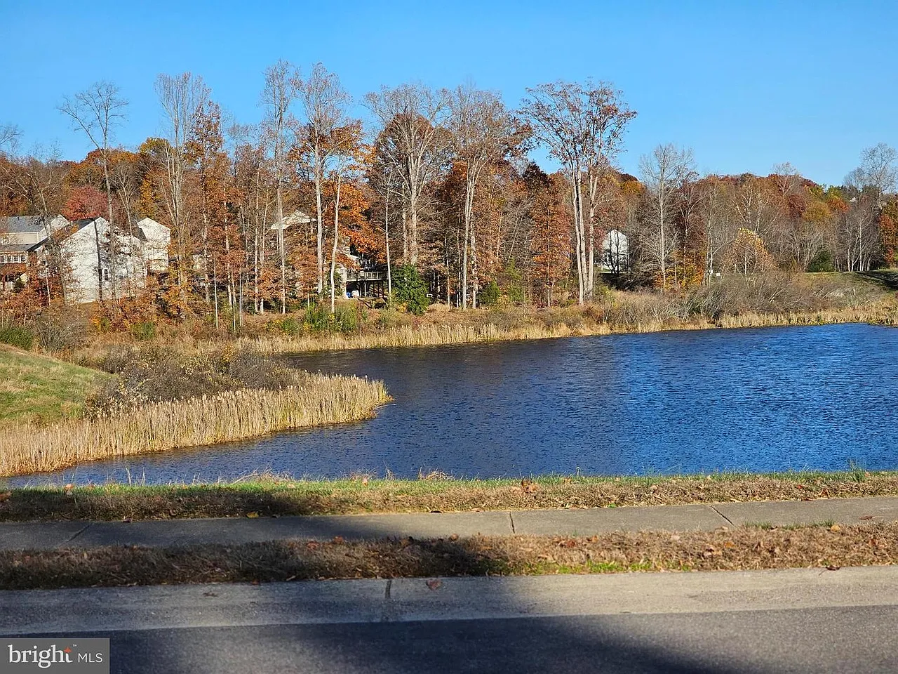 6 bed, 4196 sqft, $4,000 — Photo 2