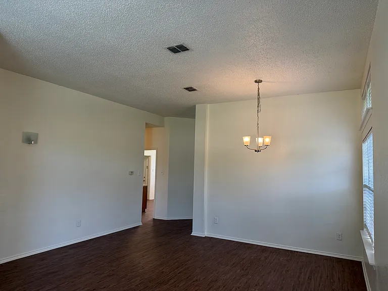 917 Dawson St — Photo 4