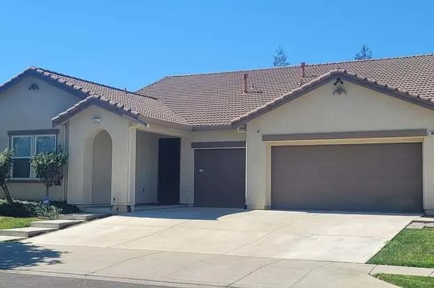 1436 Phlox Dr — Photo 2