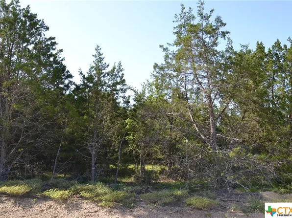 17 Lampasas River Pl, Kempner, TX 76539