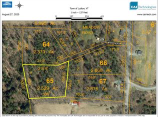 4 Meadow St, Ludlow, VT 05149