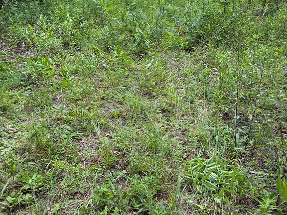 5th image of Lot 2 Outlook Road