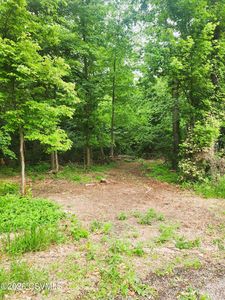 LOT 1 Shamrock Rd, Paxinos, PA, 17860