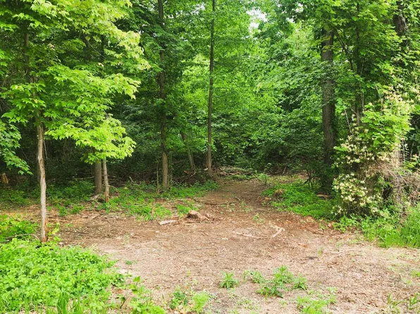 LOT 1 Shamrock Rd, Paxinos, PA 17860