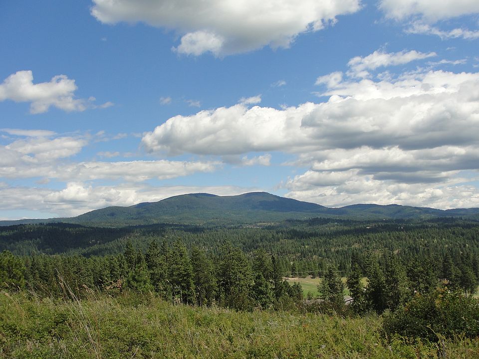 View of Mt. Spokane
