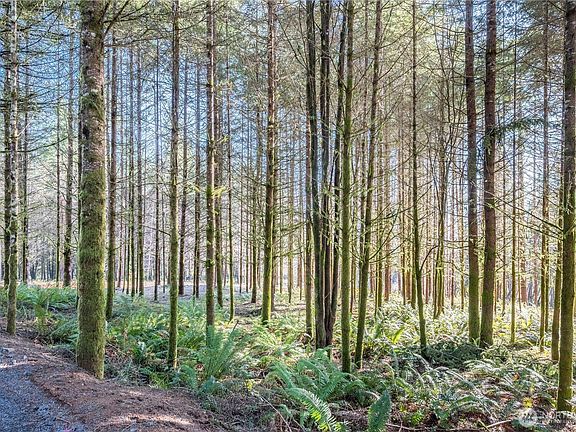 2nd image of 0 Bunker Hill Road #B