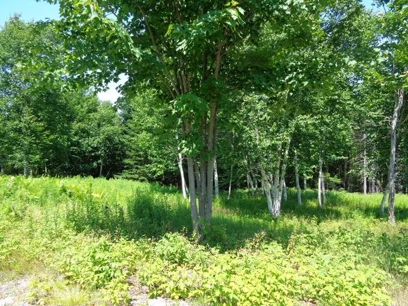 Lot 17 Bailey Mountain Road, Franklin, ME 04634