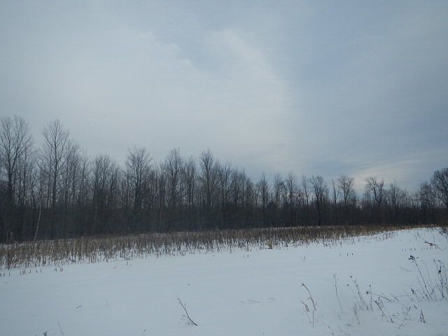 2nd image of 147 John Hill Rd