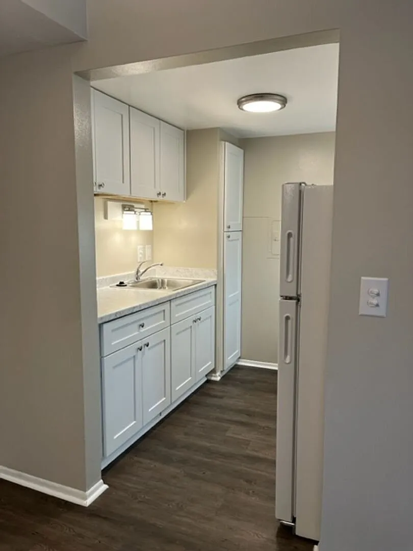 2 bedroom/1 bath Remodel Home near Downtown Rochester! — Photo 1