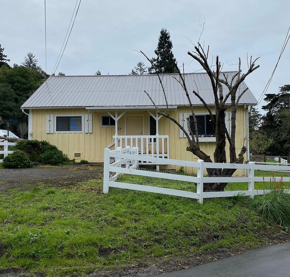 Woodland Vis, La Honda — Photo 2
