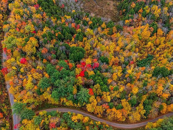 3rd image of Lot 1 Bear Tree Road