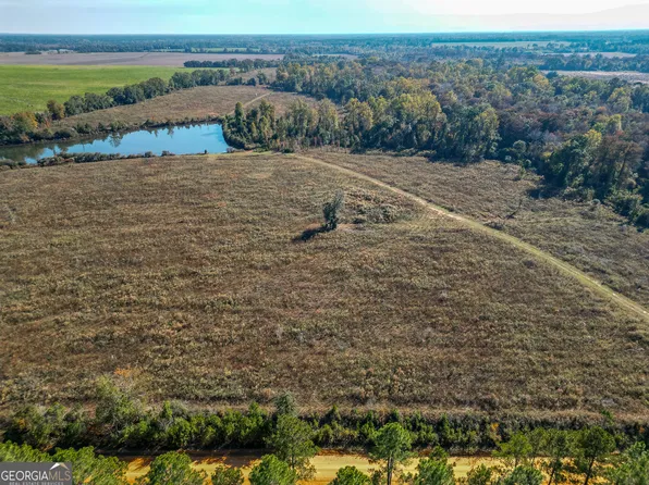 0 William Avera Rd, Morgan, GA 39866