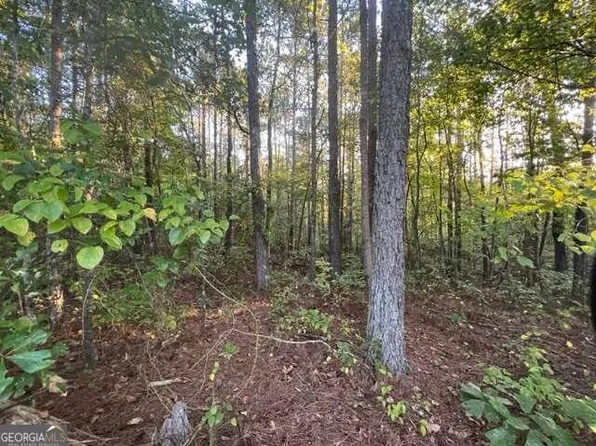 3 Corinth Five Points Rd #5, Buchanan, GA 30113