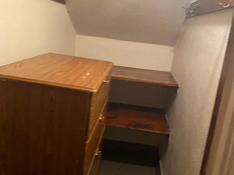 Closet #2 dresser included unless you want removed.