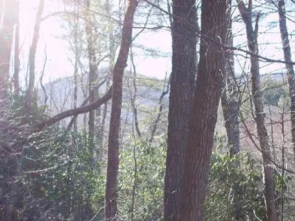 109 Big Pine Dr, Hiawassee, GA 30546