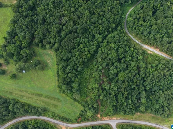 0 County Road 367 #X, Crane Hill, AL 35053