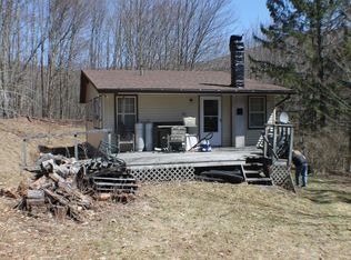 1113 Dry Brook Rd, Roscoe, NY 12776