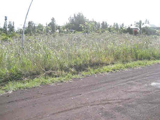 1st image of 15-1792 4th Ave Lot 2532