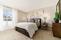 STERLING PLACE — Photo 17