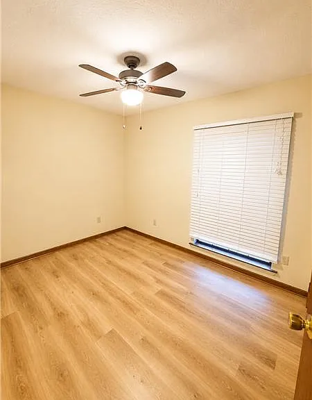 117 Maple Dr — Photo 10