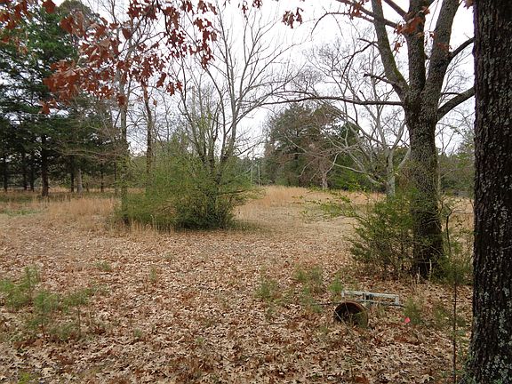 3rd image of 316 Turrentine Pl