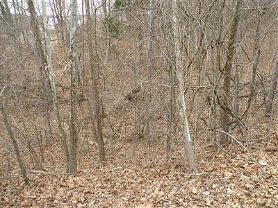 3rd image of 0 Binkley Ln Lot 2A