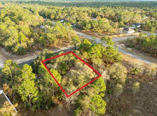 2567 W Wilmington Loop LOT 12, Dunnellon, FL 34434
