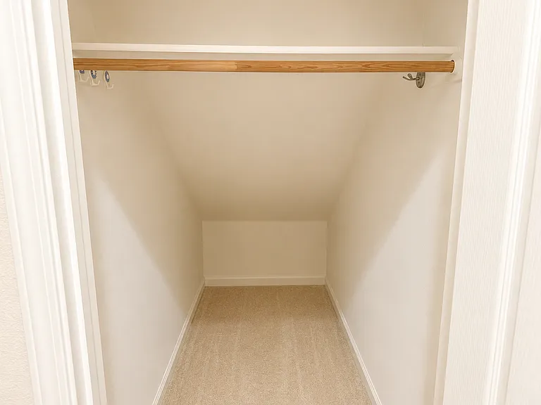 Under stairs closet