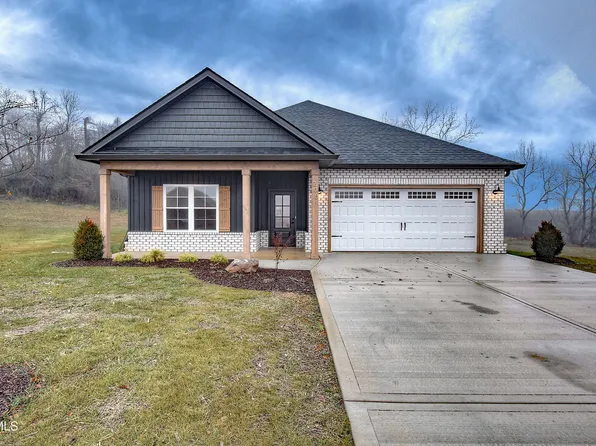 298 Dry Kiln Ct, Gray, TN 37615