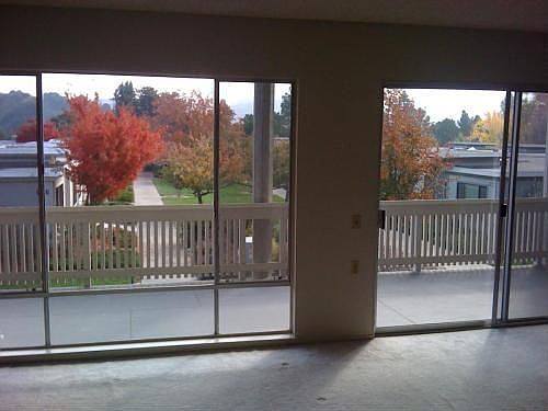 2nd image of 2064 Golden Rain Rd APT 4
