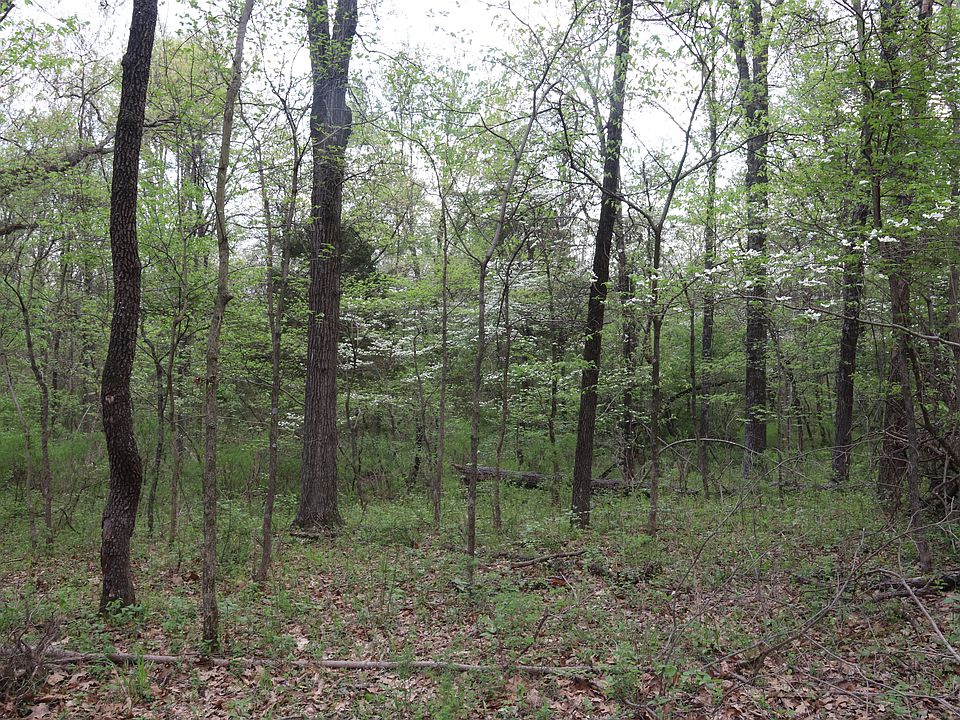 1st image of N Moonbeam Ln