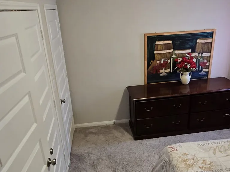 11431 Windy Cedar Ct — Photo 21