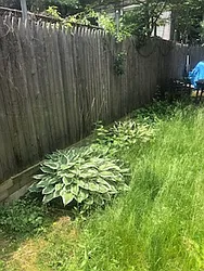 Rented by R New York